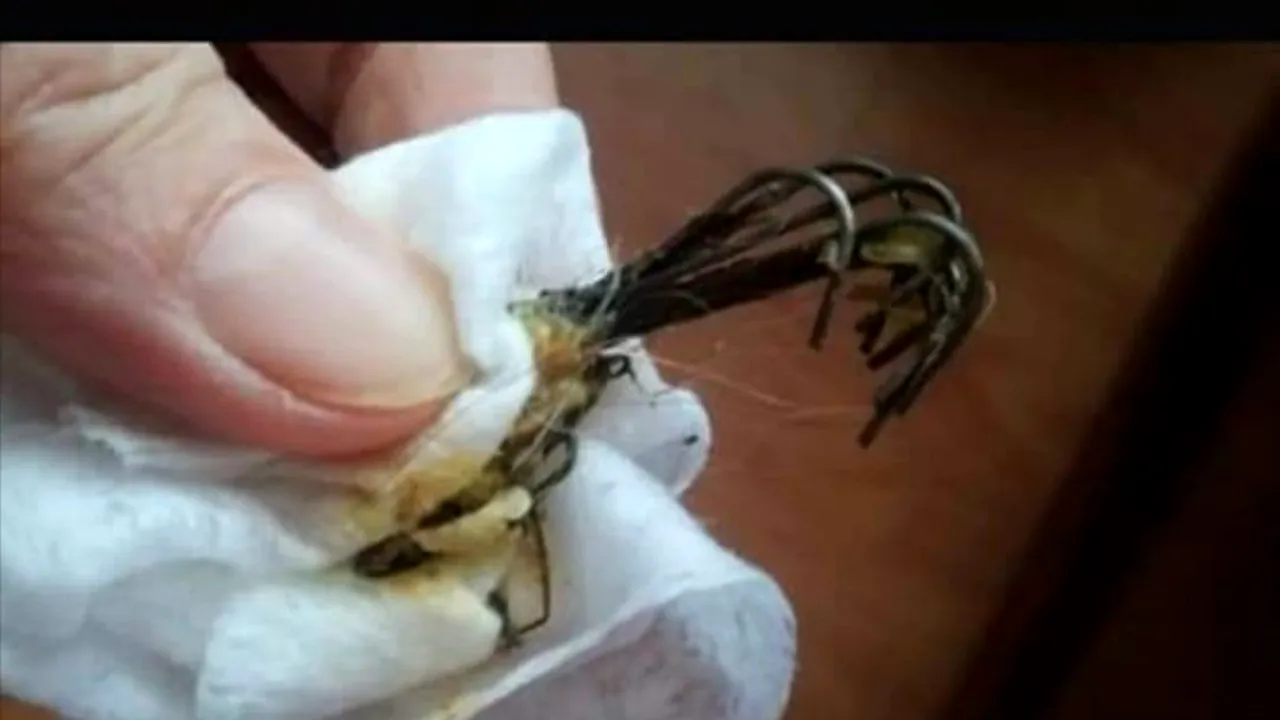 Cârnați cu ace de pescuit, împrăștiați pe străzile din Baia Mare pentru uciderea câinilor - FOTO
