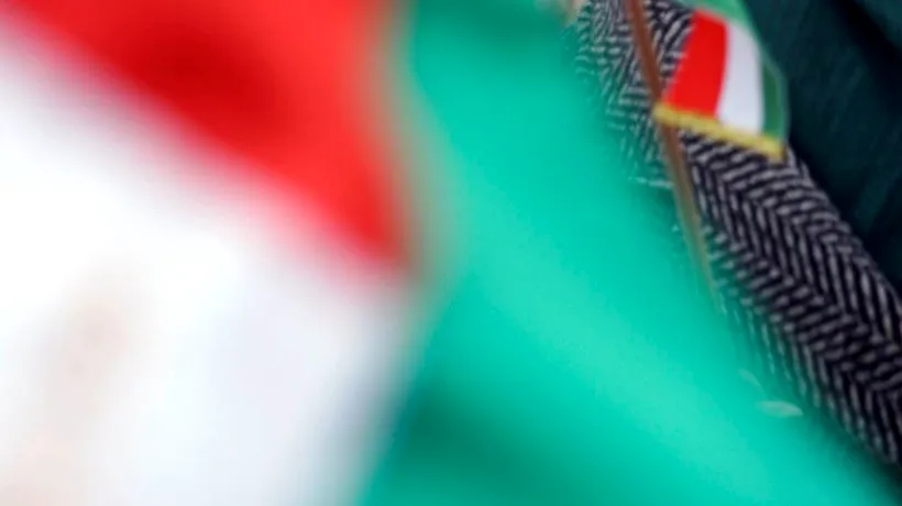 Primar din județul Harghita, amendat după ce a arborat un drapel roșu-alb-verde: E steagul maghiarimii