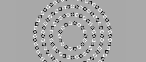 Iluzie optică virală | Câte cercuri sunt, în total? GENIILE dau răspunsul corect în 5 secunde