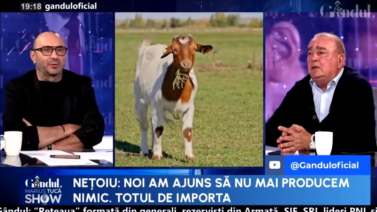 România, grânarul Europei, poate hrăni 100 de milioane de oameni. Ce spune Gigi Nețoiu, investitor în agricultură