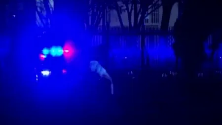 Un bărbat a sărit gardul Casei Albe, dar a fost atacat de câini și imobilizat de Secret Service