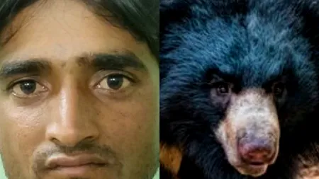 Motivul bizar pentru care un individ a ucis mai mulți urși într-o rezervație. Ajunși la fața locului, polițiștii au rămas oripilați