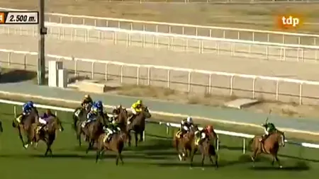 VIDEO. Moment emoționant la Marele Premiu al Madridului la hipism. 