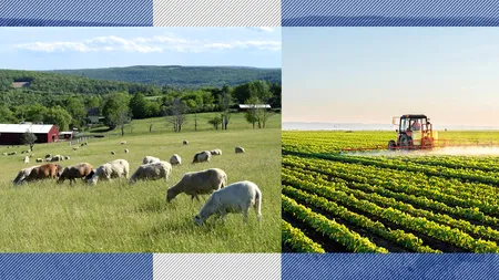 Comisia Europeană a aprobat modificările Planului Strategic pentru Politica Agricolă Comună al României. Care sunt beneficiile pentru fermieri