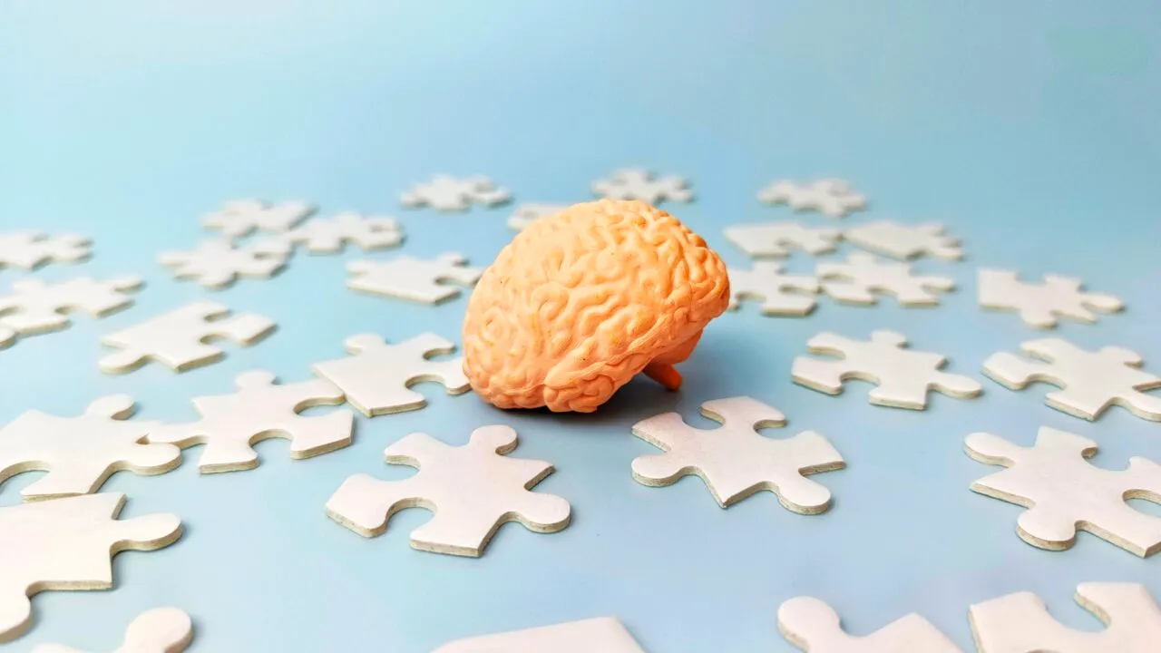 Studiu: Alcoolul începe să afecteze celulele imunitare ale creierului în aproximativ o oră și poate distruge structurile care susțin neuronii