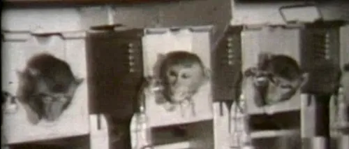 VIDEO. Imagini în premieră din timpul operațiunii secrete Cauldron, din anii `50
