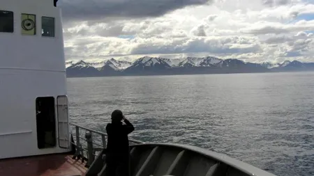 FOTO. Cea mai bătrână creatură din lume a fost descoperită în Islanda
