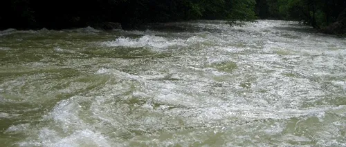 O fată de 17 ani, dintr-un centru de plasament, s-a aruncat în pârâul Trebeș