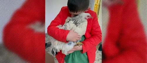O româncă din <i class='ep-highlight'>SUA</i> și-a mutat familia în țară, de dragul unei găini. „La început părea absurd”