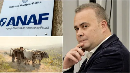Cât a recuperat statul din vânzarea la licitație a tablourilor fostului ministru Darius Vâlcov. Prejudiciul se ridică la 1,2 milioane de euro