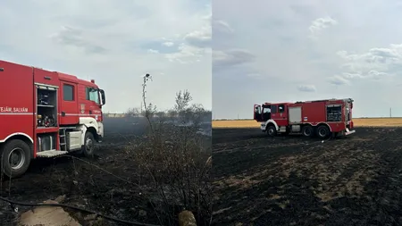 Un INCENDIU puternic de vegetație a izbucnit în Popești Leordeni. Focul a fost lichidat