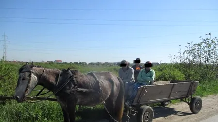 ANAF vinde 285 de căruțe, cu prețuri de la 14 lei, dar și 51 de mașini. Cât costă un Mercedes din 2011