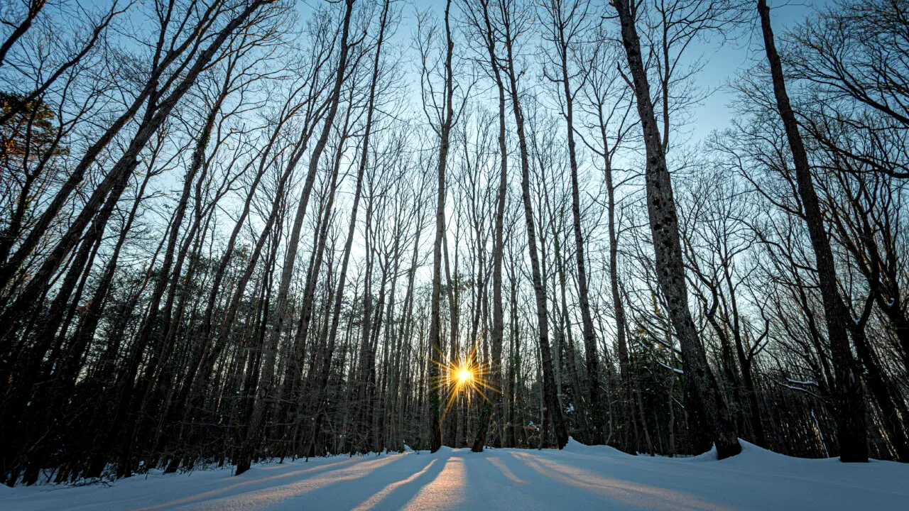 Solstițiul de iarnă 2025. Când va fi cea mai lungă noapte din acest an