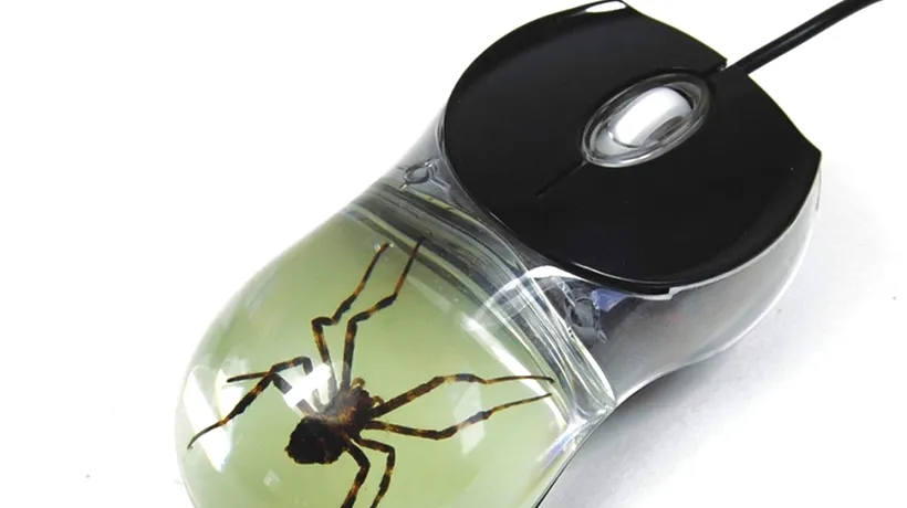 Nerecomandat pentru arahnofobi: Acest mouse are un păianjen real conservat în el