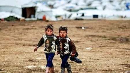 Olanda construiește o tabără de primire a imigranților într-o pădure