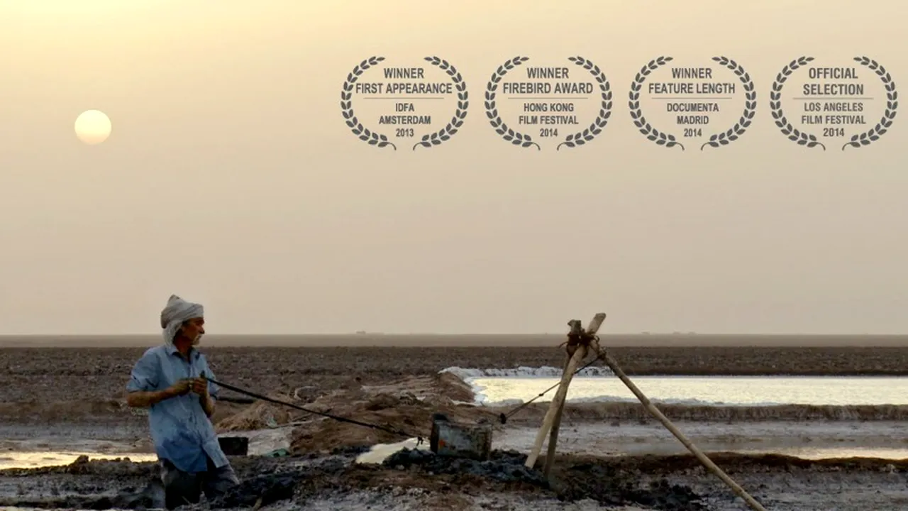 Festivalul Internațional de Film despre Oameni și Mediu - PELICAM începe vineri, la Tulcea. Ce filme puteți vedea în premieră la ediția din acest an. VIDEO