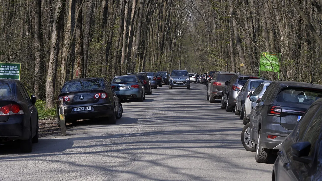 ONG-urile fac apel la Romsilva să OPREASCĂ traficul auto în Pădurea Băneasa