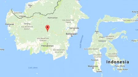 Bilanțul cutremurului din Indonezia: 100 de morți și 700 de răniți