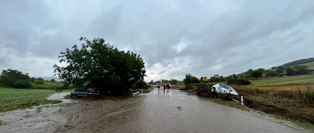 VIDEO | Dezastru făcut de ploile puternice în județul Tulcea. Mașini luate de viituri