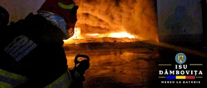 Alertă în Dâmbovița. O hală a fost cuprinsă de un incendiu uriaș. A fost emis mesaj RO-ALERT