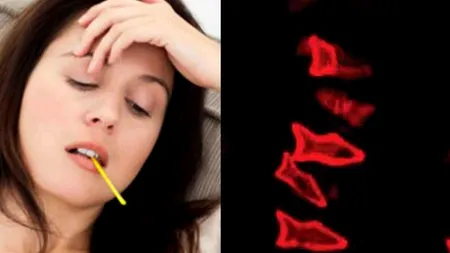 Pe viitor, pacienții ar putea fi vindecați cu ajutorul unor micro-roboți care imită forma peștilor