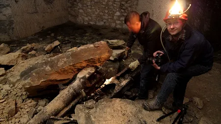 Un buncăr secret din Primul Război Mondial, descoperit într-o pădure din Franța