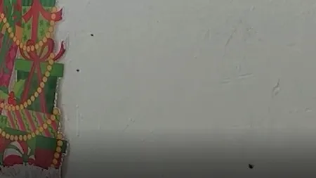 VIDEO | Copii mușcați de ploșnițe într-un centru pentru persoane cu dizabilități din Severin