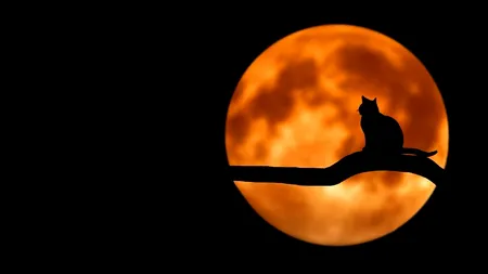 Luna Plină. Semnificații astronomice și astrologice. Superstiții de Luna plină