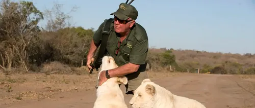 Dramă într-o rezervație din Africa de Sud. A sfârșit mâncat de leii pe care i-a crescut de când erau pui! - VIDEO
