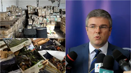 Pe picior de plecare, ministrul Irineu Darău dezvăluie o afacere cu albume turistice, care ar fi păgubit statul cu milioane de lei