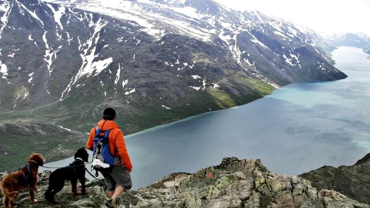 Oferte de locuri de muncă în străinătate. Cât câștigă un ghid turistic în Norvegia și un măcelar în Irlanda