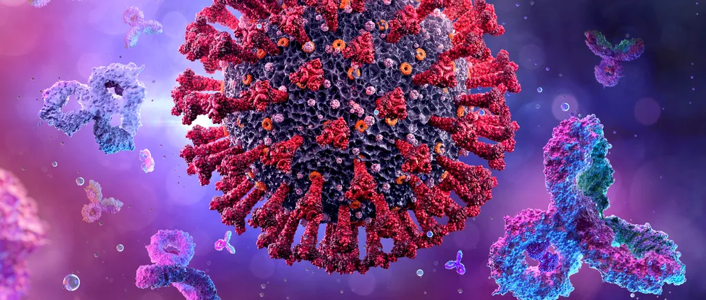 Oamenii de știință de la Universitatea din Pittsburgh au descoperit un anticorp care „neutralizează” SARS-CoV-2