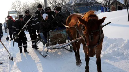 Reportaj AP, despre salvatorul cailor duși la abatoare: 
