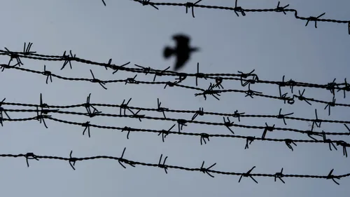 Un om moare la fiecare 3 zile în închisorile României. Imaginea unui sistem nereformat de peste 25 de ani