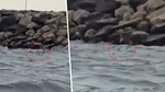 O nouă alertă la Marea Neagră. Turiștii au observat în apa de la Costinești un obiect care pare a fi o dronă