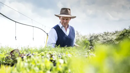 Cum reușește un fermier român să facă profit și în afara sezonului: 