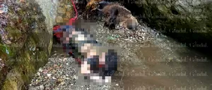 Imagine ȘOCANTĂ cu tânăra de 19 ani ucisă de un urs pe Jepii Mici. Animalul, care a fost împușcat, ar fi atacat-o pe un traseu circulat de turiști
