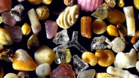 21 de curiozități despre lume pe care sigur nu le știai