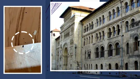 Studenții de la Arhitectură, invadați de ploșnițe. Au făcut o petiție online și cer o dezinsecție completă: 