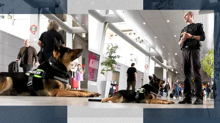 Ciobănescul german Sonya caută DROGURI în aeroport / AIR Schengen aduce măsuri sporite de securitate
