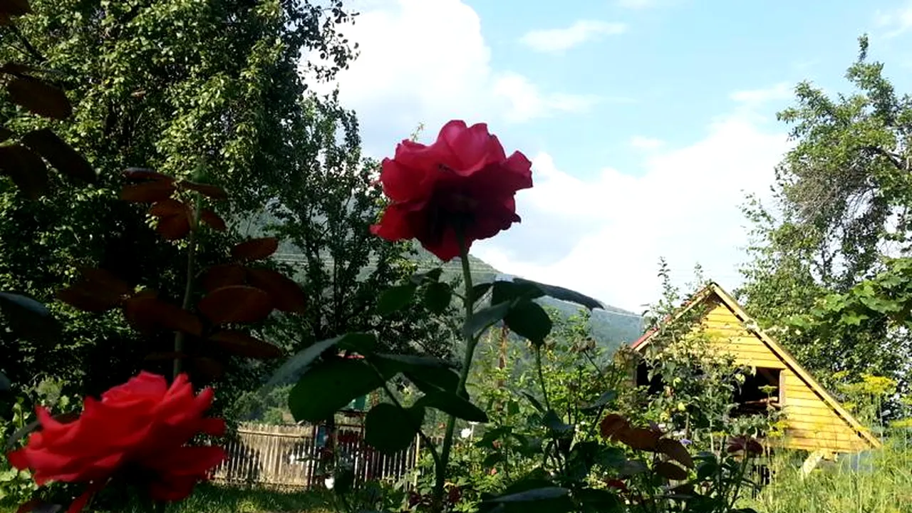 VREMEA. Prognoza meteo pentru 23 și 24 iulie