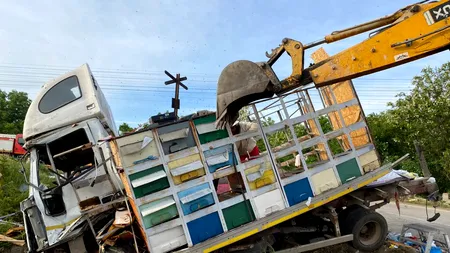 Un camion plin cu stupi a fost lovit de un tren de călători, în orașul Piatra-Olt din județul Olt (FOTO-VIDEO)
