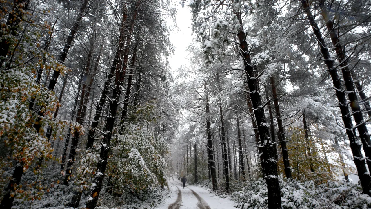 PERICOLELE pentru organism cauzate de frig, căzăturile pe gheață și curățatul zăpezii. Sfatul FIZIOTERAPEUTULUI