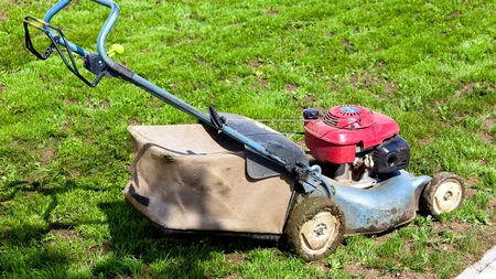 Un grădinar comite CRIME după MOARTE. A pregătit capcane cu BOMBE pentru vecinii cu care a avut conflicte în timpul vieții