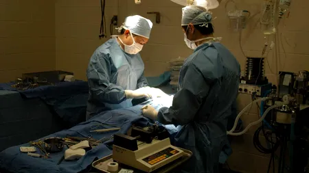 Portretul unui chirurg de transplant de succes: 