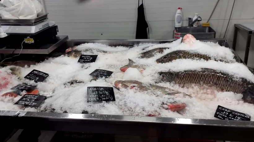 Control în hala de pește din Piața Obor. Au fost CONFISCATE peste 250 de kilograme de pește și aplicate amenzi de 72.000 de lei