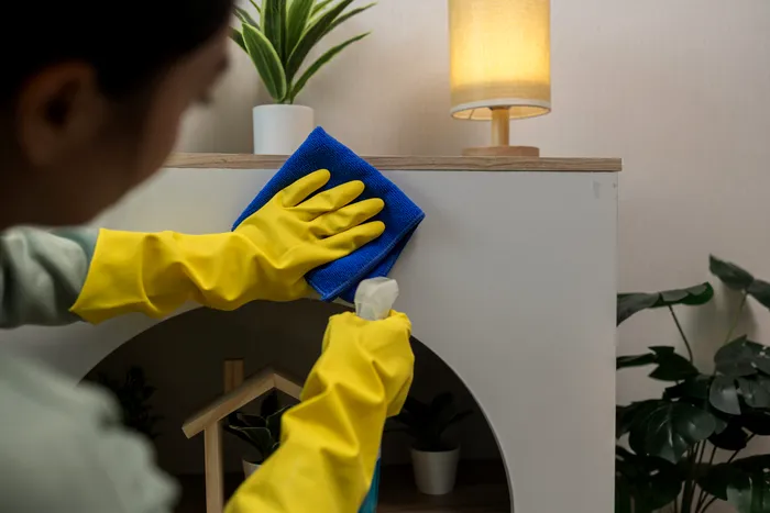 Job neobișnuit. Cu cât ești plătit pentru a te filma în timp ce faci curățenie