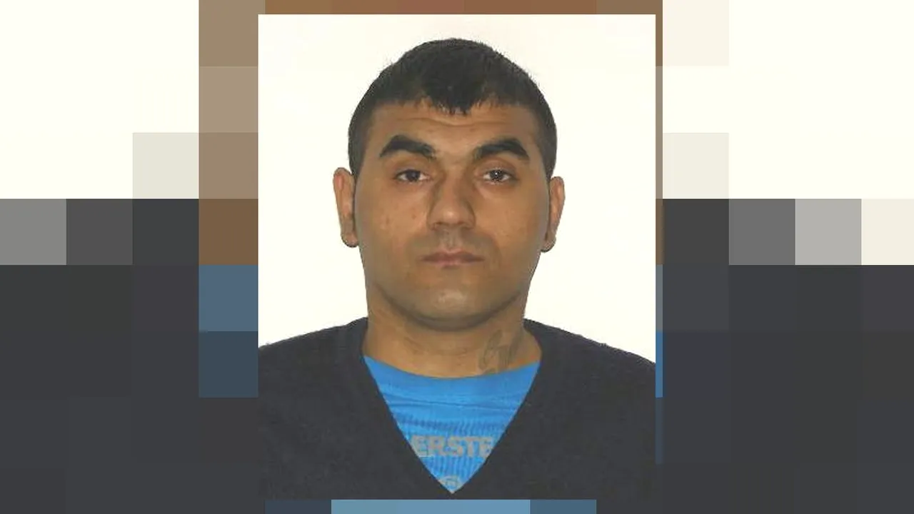 Tâlharul „Dan Duru” a fost recuperat din Germania, anunță Alina Gorghiu