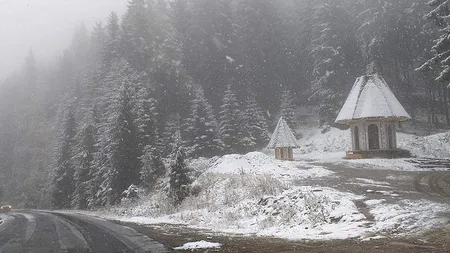 Prima ninsoare din această toamnă, în județul Suceava 