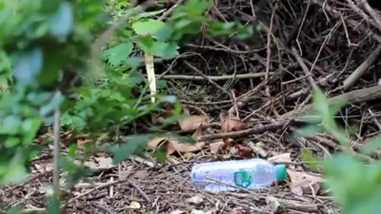 Materialul cu ajutorul căruia îți poți redecora mobila din întreaga casă. VIDEO 